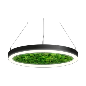 Фото Светодиодный светильник MS-PLANTS RING-O со мхом 50x70 600mm 30W